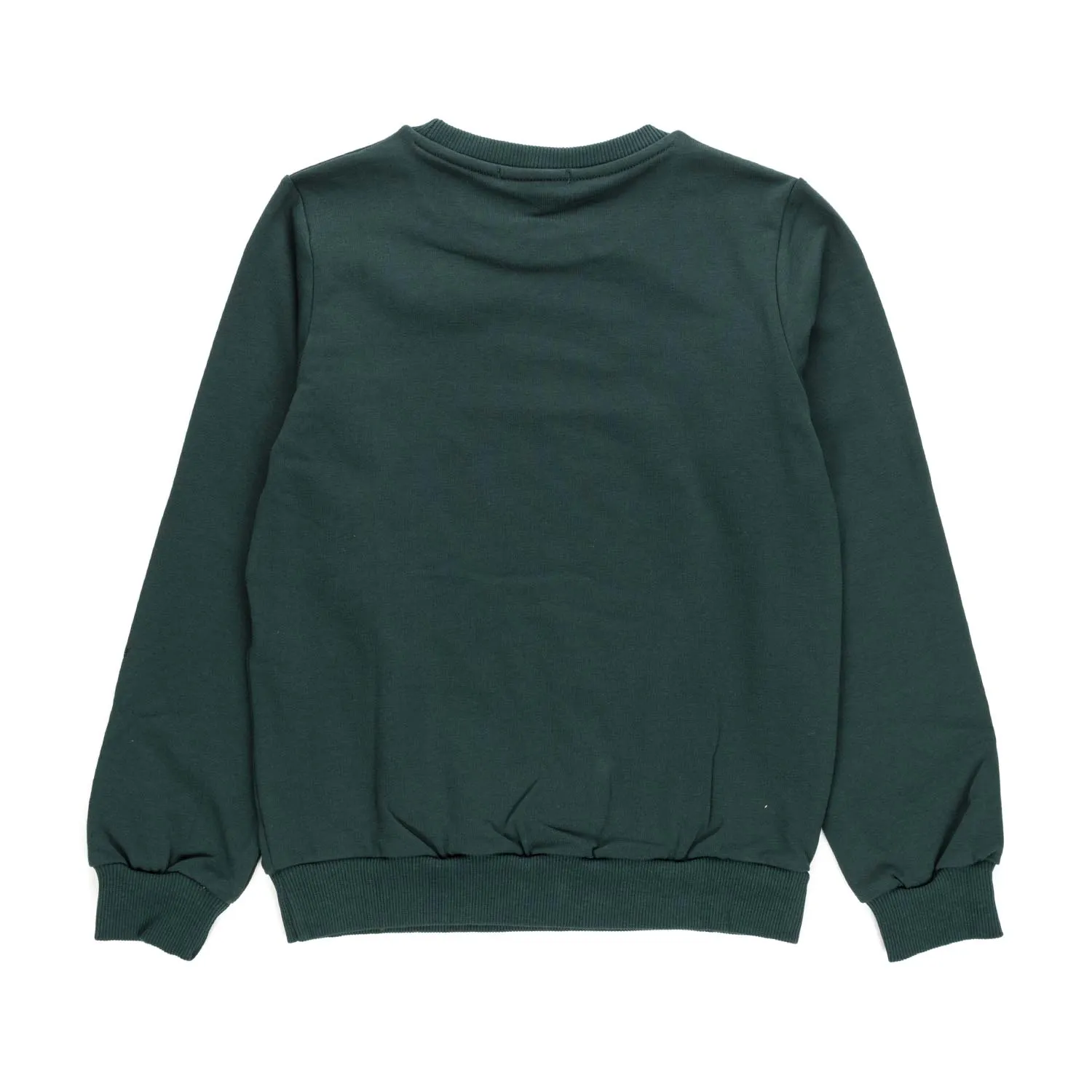 Teen Girl Glitter Sweatshirt